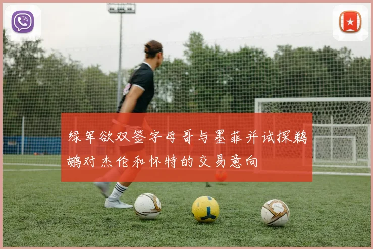 绿军欲双签字母哥与墨菲并试探鹈鹕对杰伦和怀特的交易意向